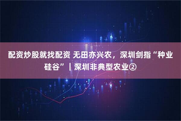 配资炒股就找配资 无田亦兴农，深圳剑指“种业硅谷”｜深圳非典型农业②