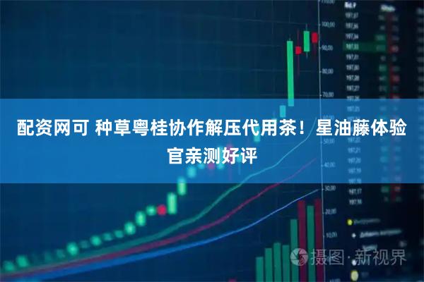 配资网可 种草粤桂协作解压代用茶！星油藤体验官亲测好评