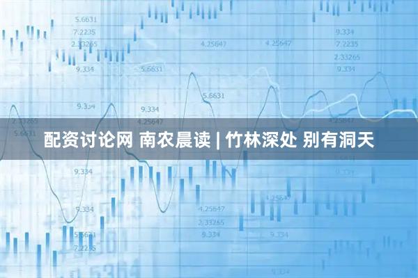 配资讨论网 南农晨读 | 竹林深处 别有洞天